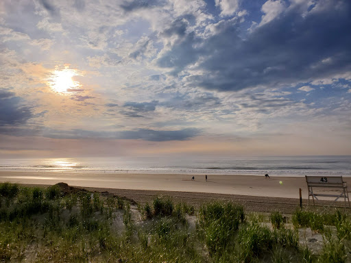 Bar «Springfield Inn», reviews and photos, 8 43rd St #12, Sea Isle City, NJ 08243, USA