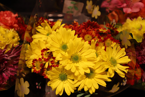 Grocery Store «Food Lion», reviews and photos, 501 W Main St, Middletown, DE 19709, USA