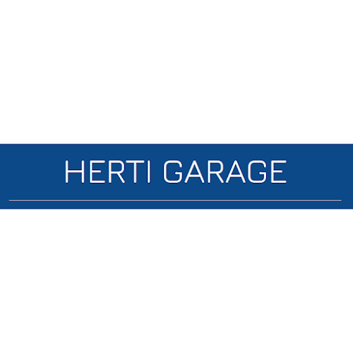 Rezensionen über Herti-Garage in Schwyz - Autowerkstatt