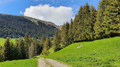 Canal de Valezan à La Plagne-Tarentaise
