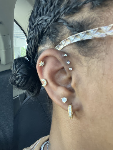 Explore snake sleeve tattoo ideas, creative tattoo ideas in Kissimmee, available at Fallen Heroes Tattoo & Piercing (Florida)