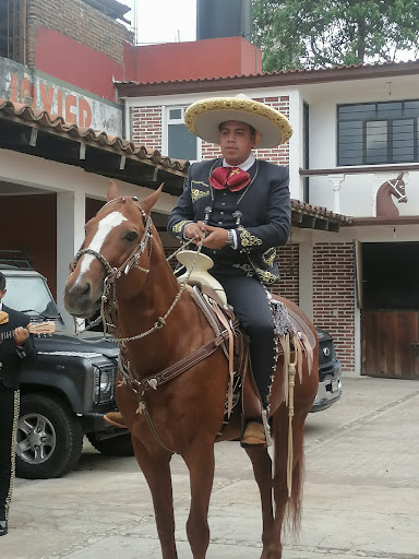 Bordados en canutillo 