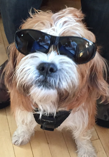 Pet Supply Store «Pet Supply Outlet», reviews and photos, 150 Spaulding Tpke, Portsmouth, NH 03801, USA