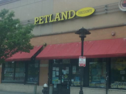 Petland Discounts - East Tremont 
