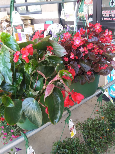 Grocery Store «Harps Food Store», reviews and photos, 1120 E German Ln, Conway, AR 72032, USA