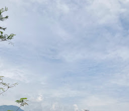 VW BOROBUDUR photo
