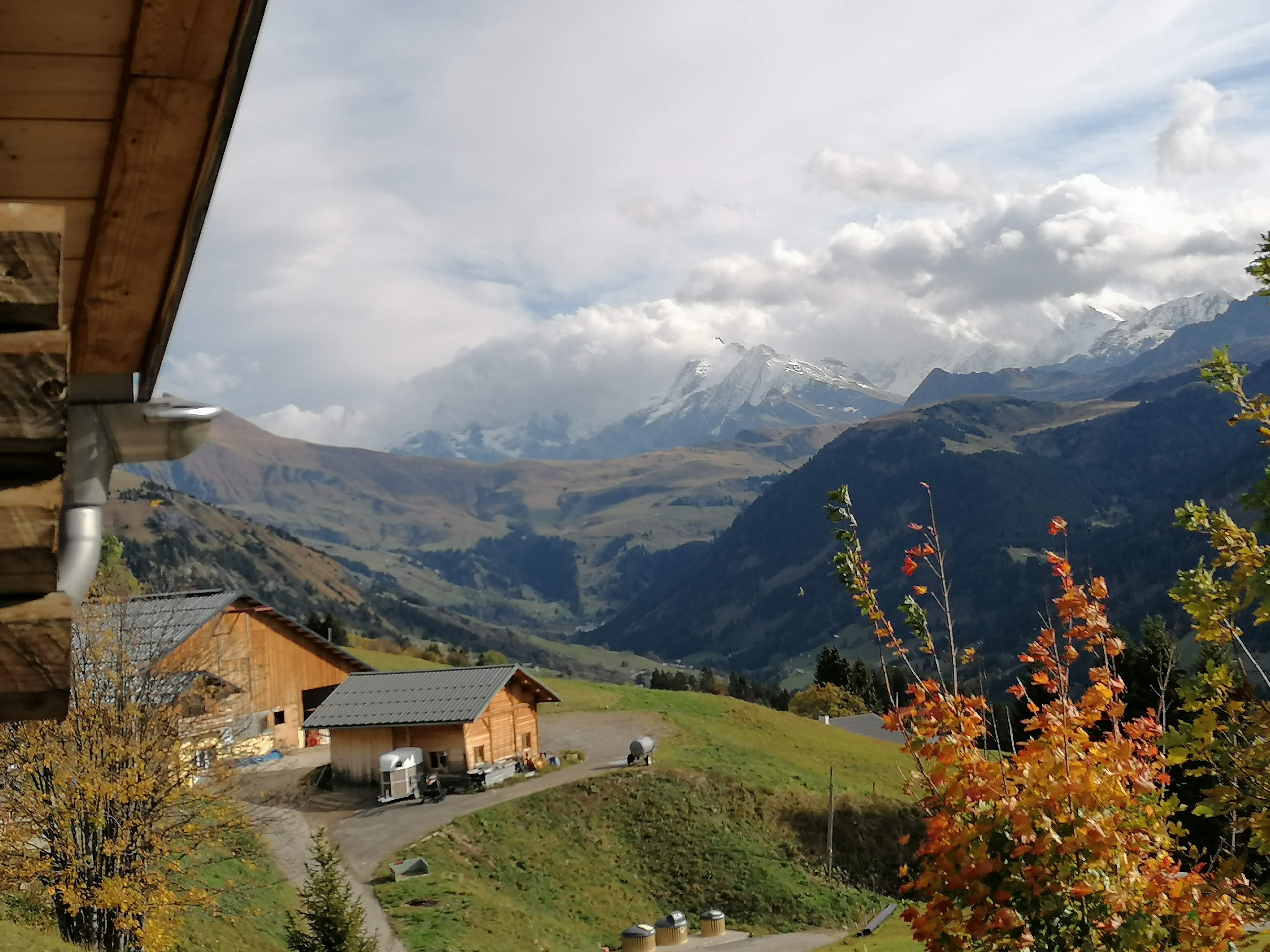 Photo n° 3 de l'avis de kuba. fait le 07/11/2019 à 11:06
