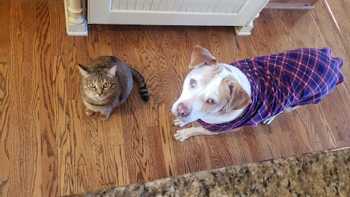 Leawood Animal Hospital image