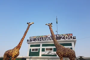 Peshawar Zoo image