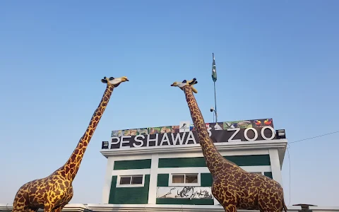 Peshawar Zoo image