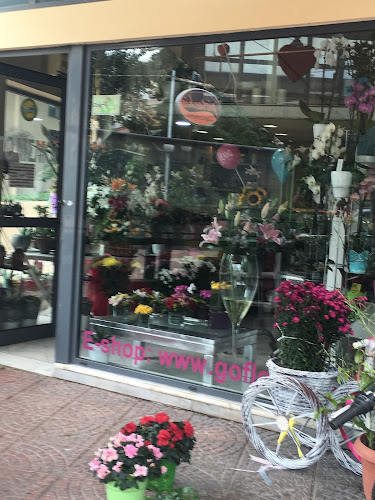 ΣΠΥΡΑΚΗΣ ΣΠΥΡΙΔΩΝ