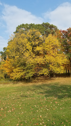 Nature Preserve «Bullfrog Lake», reviews and photos, 9600 Wolf Rd, Willow Springs, IL 60480, USA