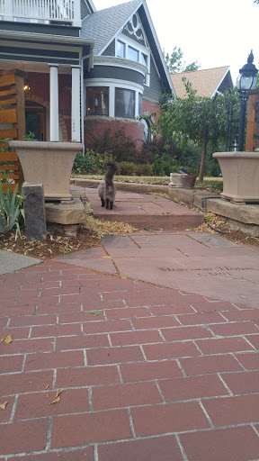 Radio Broadcaster «eTown Hall», reviews and photos, 1535 Spruce St, Boulder, CO 80302, USA