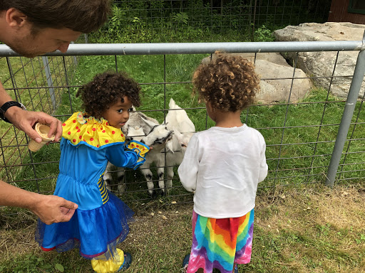 Zoo «The Petting Zoo at Breezeway Farm», reviews and photos, 161 Anawana Lake Road, Monticello, NY 12701, USA