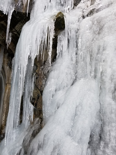 National Park «Shenandoah National Park», reviews and photos