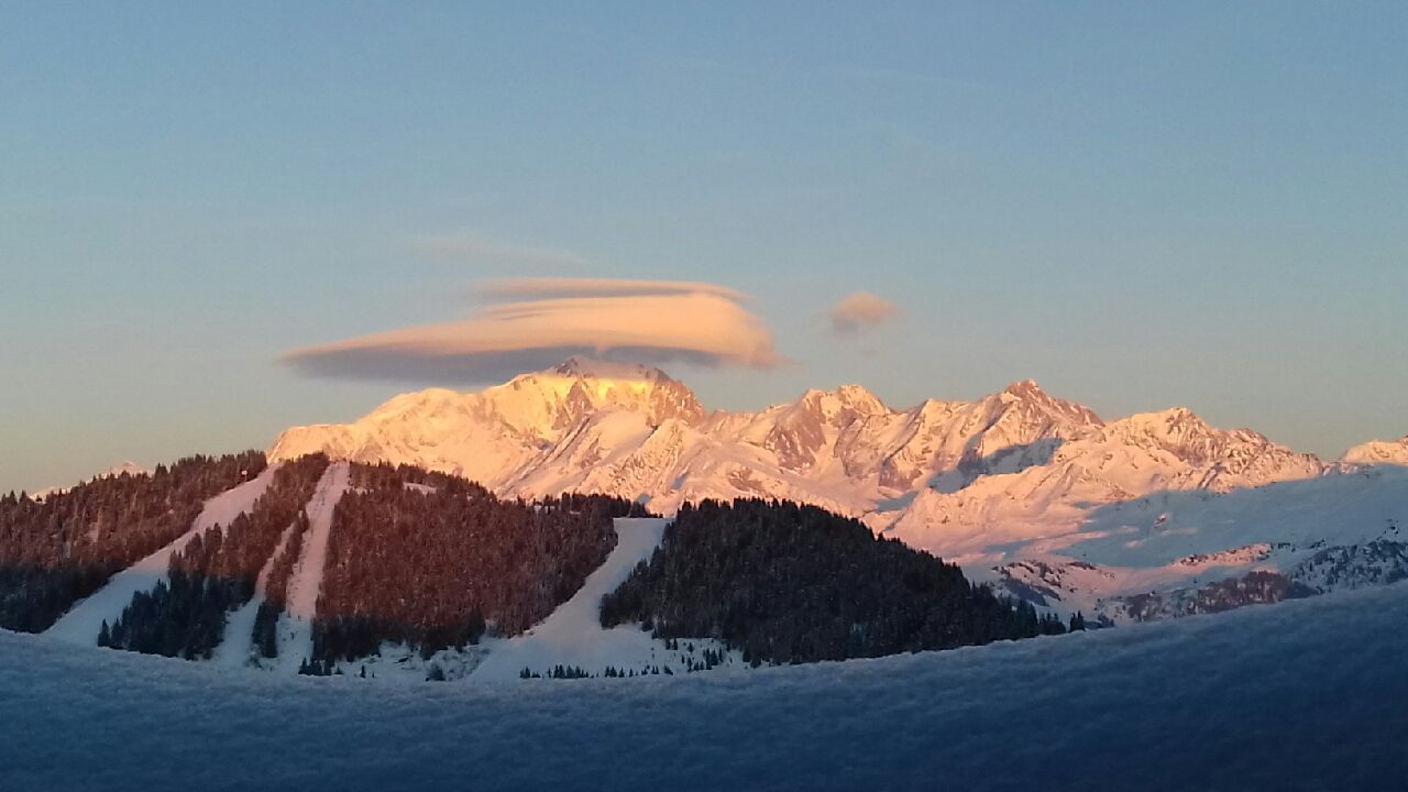 Photo n° 2 de l'avis de garnier.e fait le 03/04/2019 à 17:03