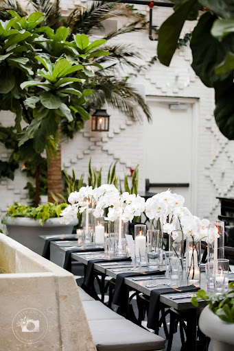 Florist «A Special Rose Florist», reviews and photos, 14546 Bruce B Downs Blvd, Tampa, FL 33613, USA