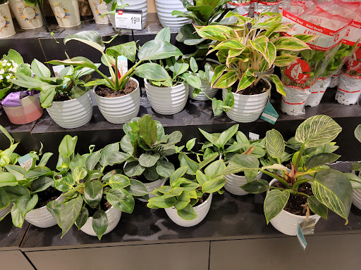 Shopping Mall «Eagan Town Centre», reviews and photos, 1276 Town Centre Dr, Eagan, MN 55123, USA