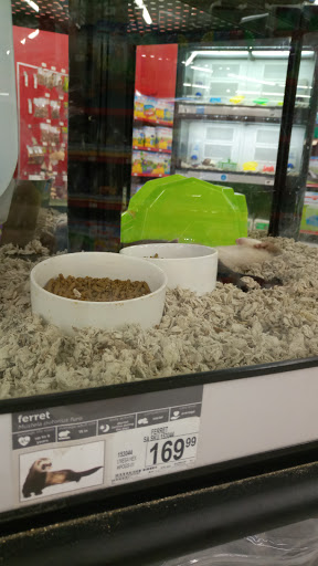 Pet Supply Store «Petco Animal Supplies», reviews and photos, 125 Lincoln Hwy, Exton, PA 19341, USA