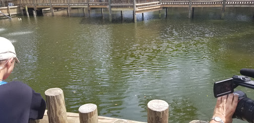 Zoo «ZooWorld Zoological and Botanical Conservatory», reviews and photos, 9008 Front Beach Rd, Panama City Beach, FL 32407, USA