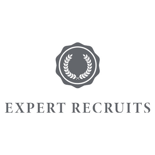 Reviews of Expert Recruits in Woking - Employment agency