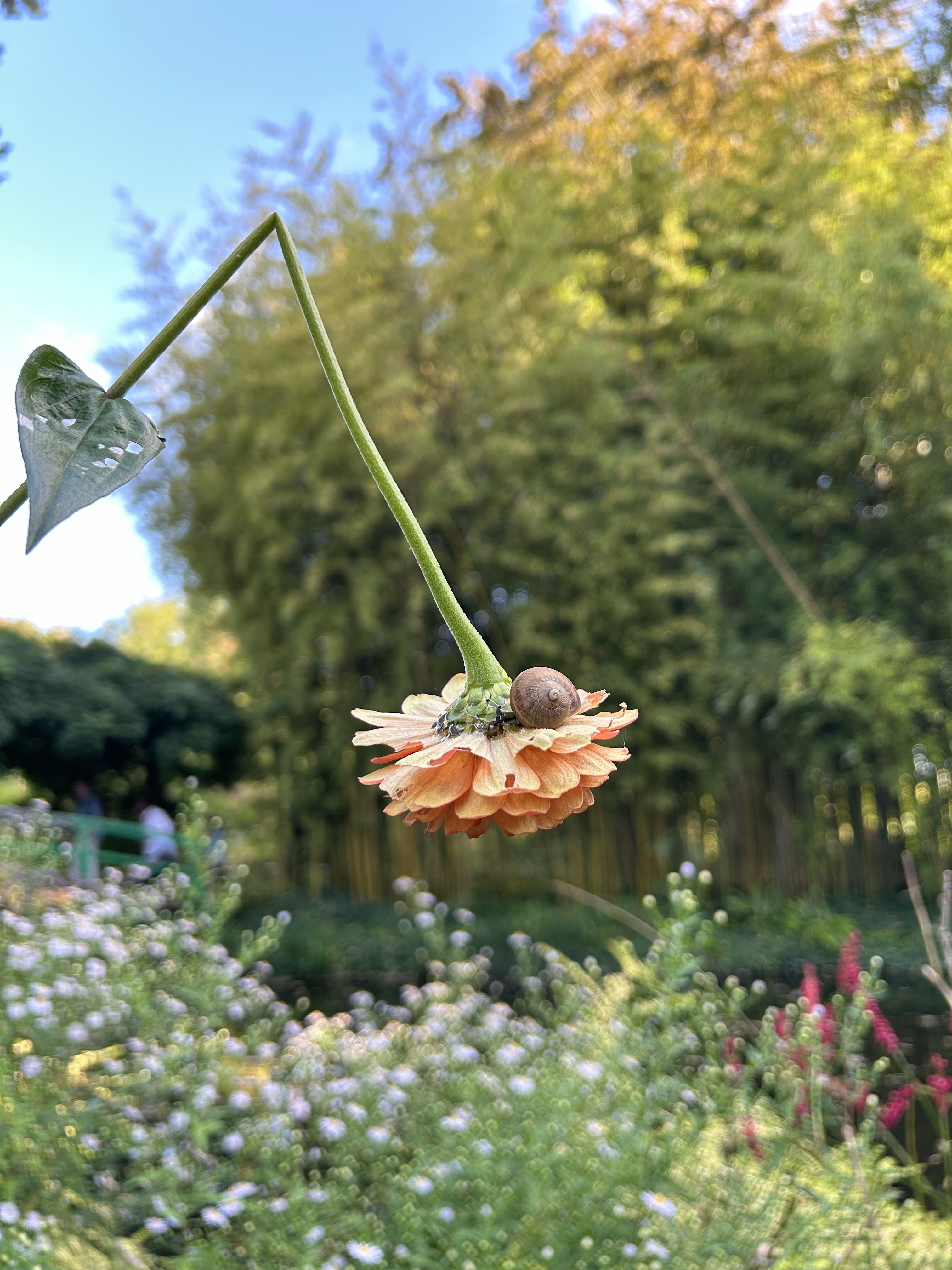 Photo n° 7 de l'avis de Justine.u fait le 12/10/2023 à 09:28