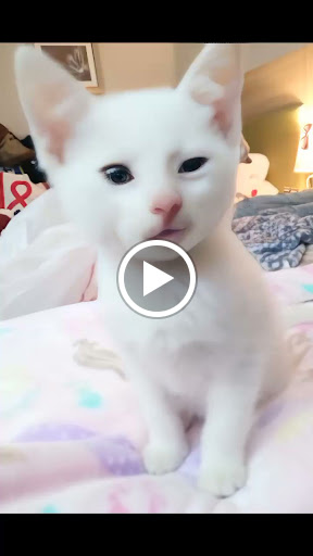 5 Harris Ct, Monterey, CA 93940, USA