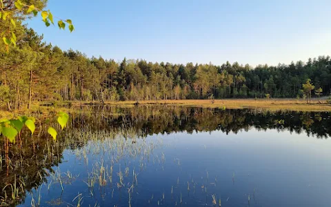 Mazowiecki Landscape Park image