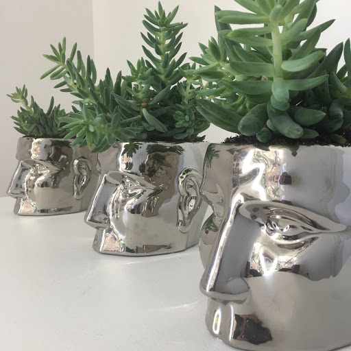 Florist «Posh Petals», reviews and photos, 1134 E 54th St A, Indianapolis, IN 46220, USA