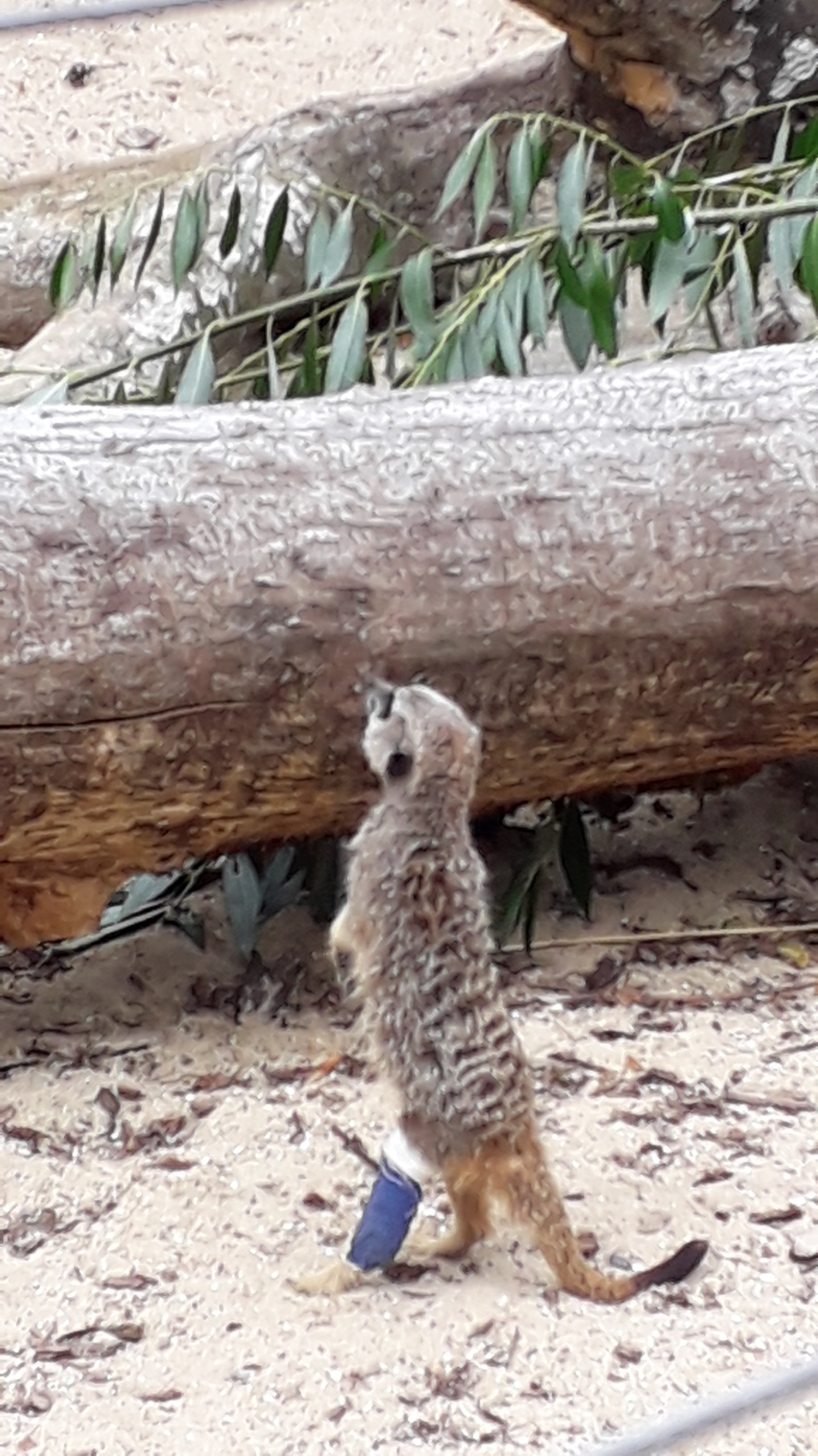 Photo n° 1 de l'avis de Catherine.C fait le 27/08/2020 à 11:42