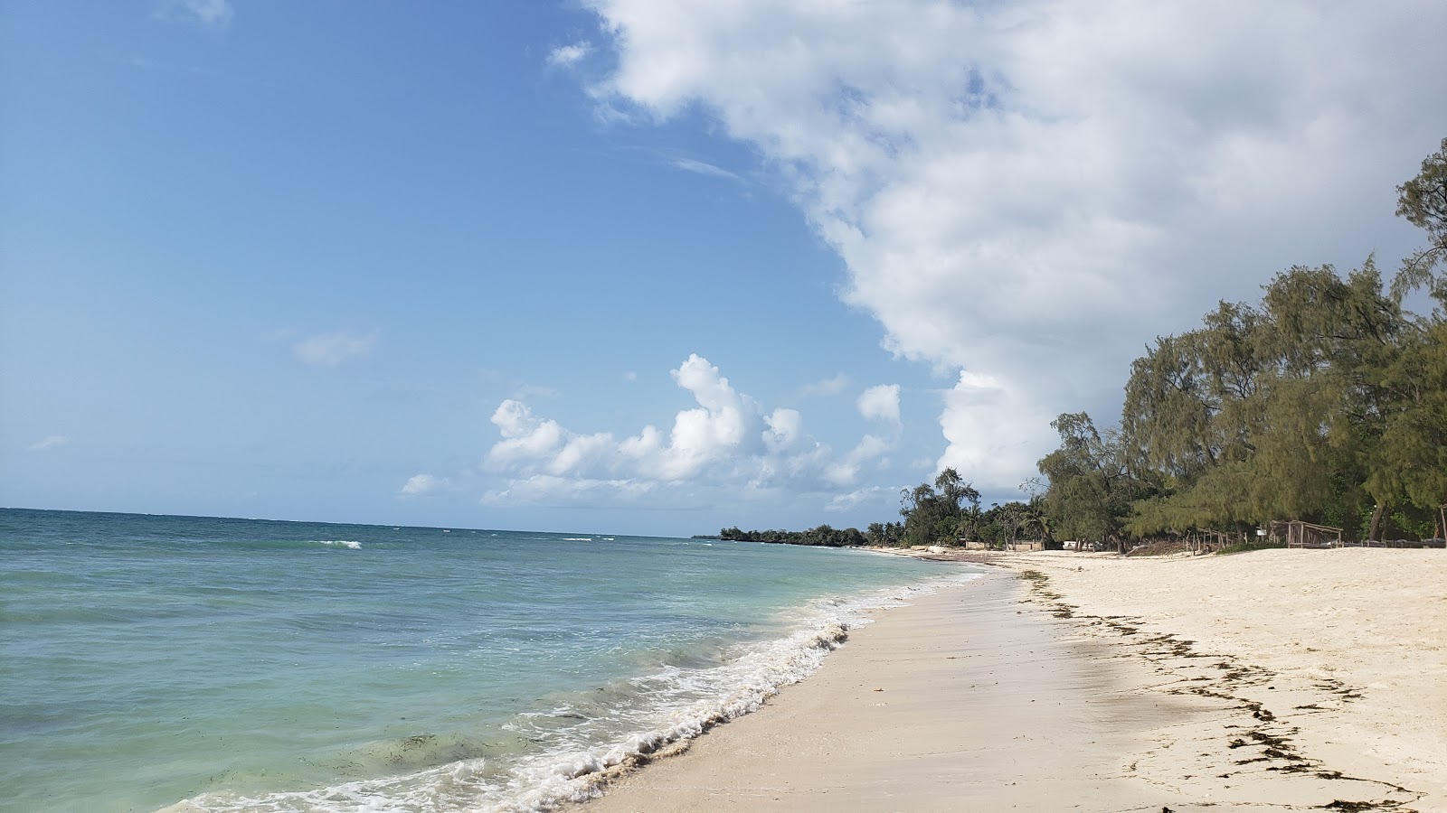 Photo de Kinondo Shwari Beach avec un niveau de propreté de assez propre