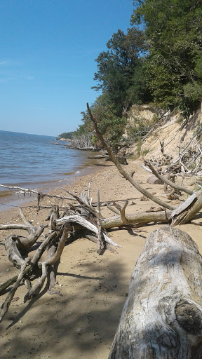Park «Purse State Park», reviews and photos, 2750 Sweden Point Road, Marbury, MD 20658, USA