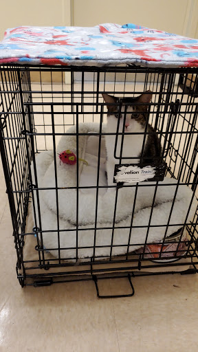 Pet Supply Store «Petco Animal Supplies», reviews and photos, 1121 5th St, Miami Beach, FL 33139, USA