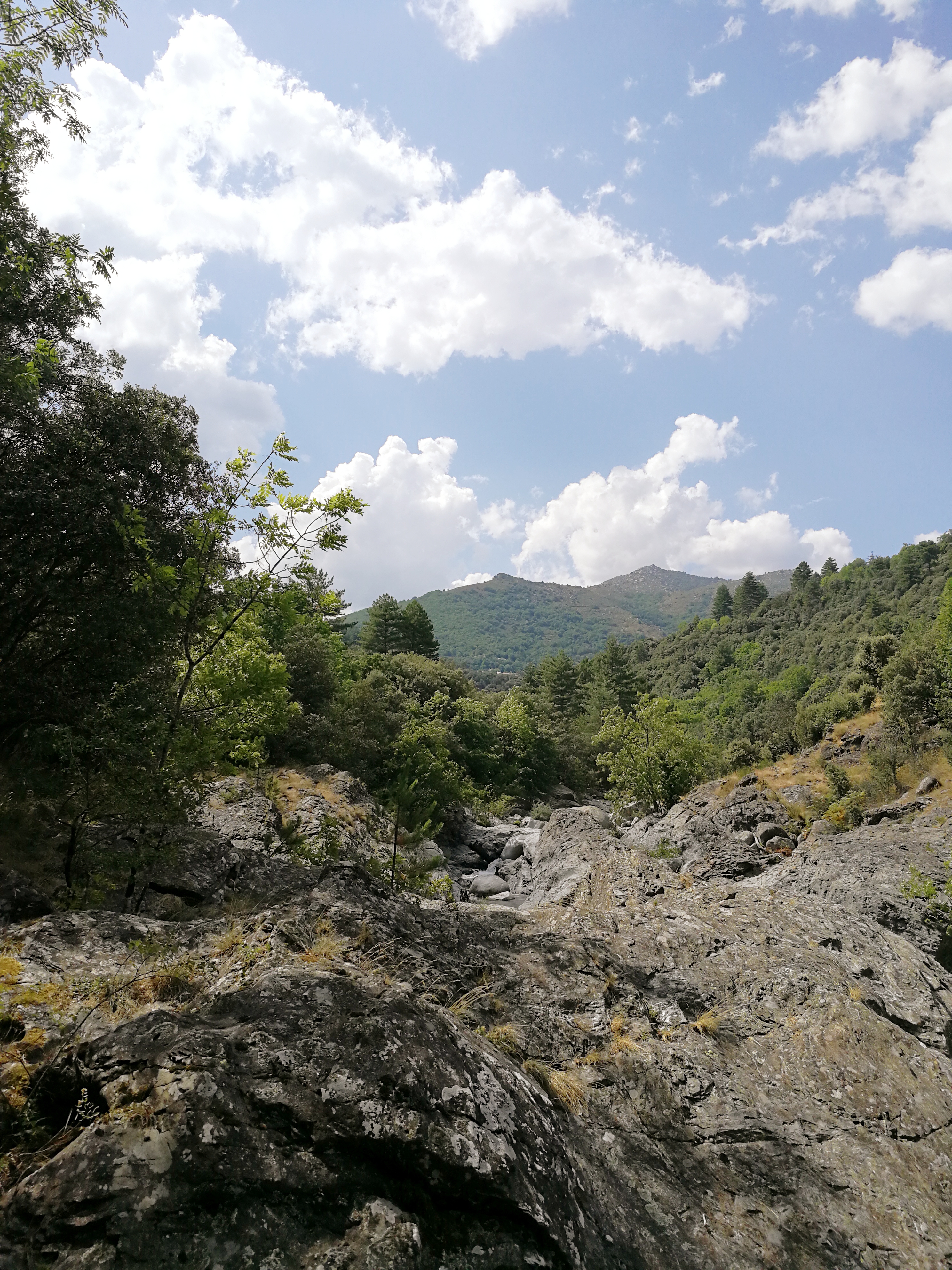 Photo n° 1 de l'avis de Liubov.r fait le 12/09/2020 à 18:57
