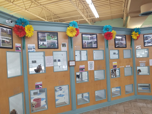 Pet Store «Happiness Is Pets Vi», reviews and photos, 616 E Roosevelt Rd, Lombard, IL 60148, USA