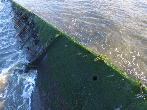 Historical Landmark «Wreck of the SS Atlantus», reviews and photos, Sunset Blvd, Cape May, NJ 08204, USA