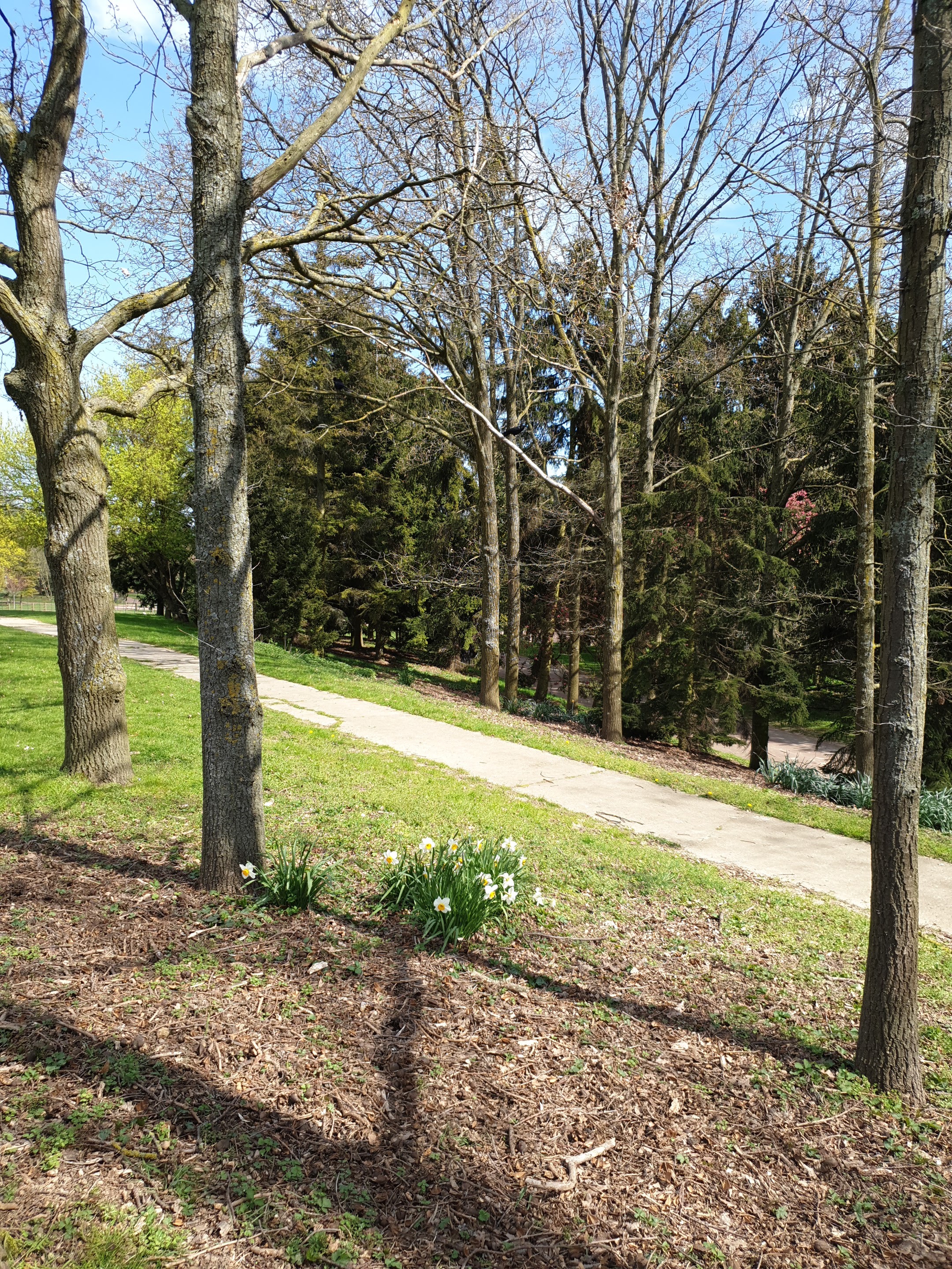 Photo n° 7 de l'avis de Malika.. fait le 30/03/2019 à 12:57