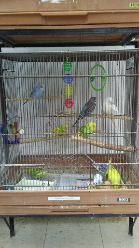 Tropical Fish Store «Midway Tropical Fish & Pets», reviews and photos, 24101 Pacific Hwy S, Kent, WA 98032, USA