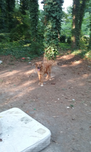 Pet Supply Store «Petco Animal Supplies», reviews and photos, 2131 Pleasant Hill Rd, Duluth, GA 30096, USA