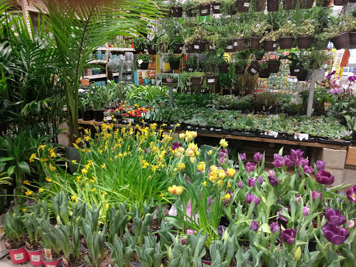 Home Improvement Store «The Home Depot», reviews and photos, 16420 Washington St, Thornton, CO 80023, USA