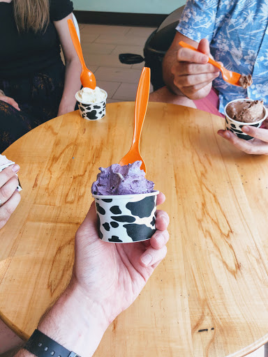 Ice Cream Shop «Nicecream», reviews and photos, 2831 Clarendon Blvd, Arlington, VA 22201, USA