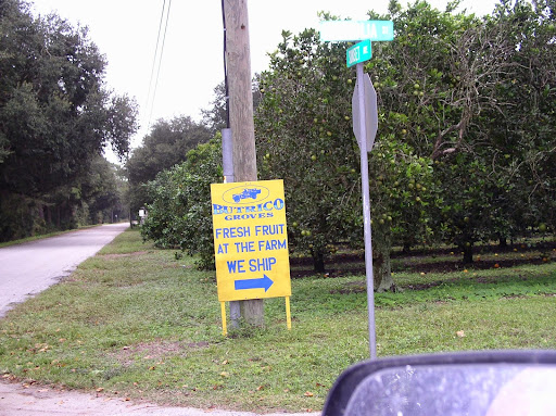 Farm «Butrico Groves Orange Grove», reviews and photos, 6065 Magnolia St, Mims, FL 32754, USA