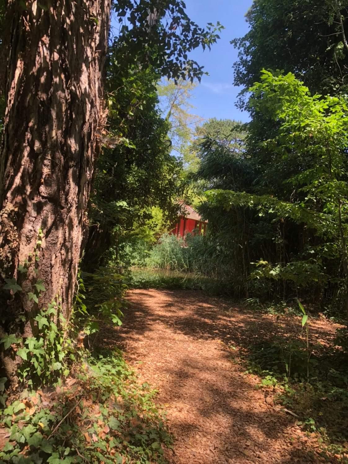 Photo n° 1 de l'avis de Ern. fait le 19/07/2022 à 17:49
