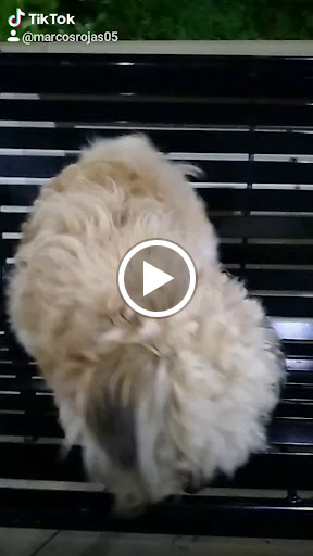 Sporting Goods Store «Big 5 Sporting Goods», reviews and photos, 3935 State St, Santa Barbara, CA 93105, USA