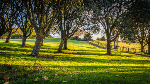 Garden at Auckland