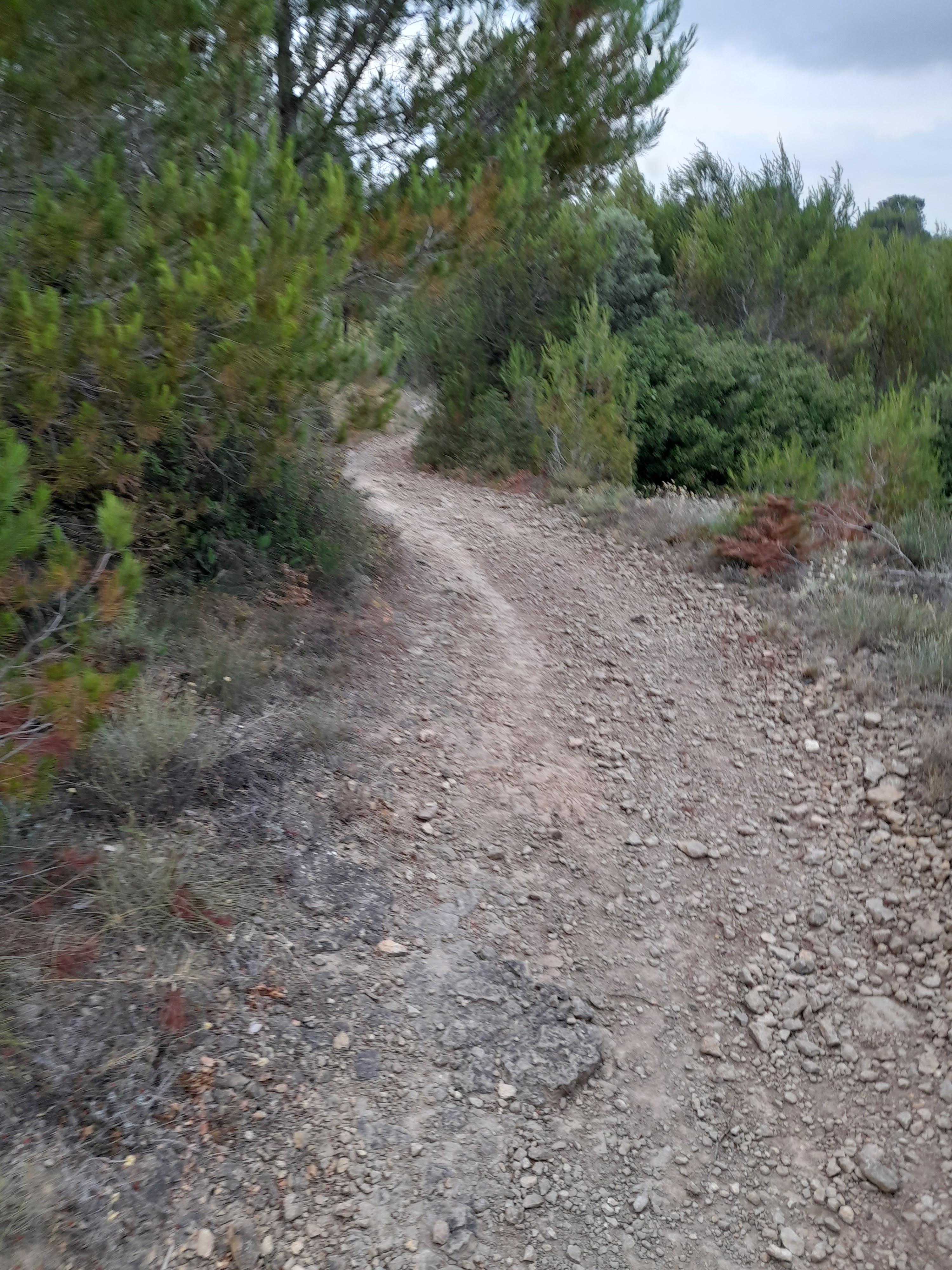 Photo n° 29 de l'avis de Bilbon.A fait le 20/06/2022 à 20:00