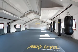 Next Level MMA • Kampfsportstudio in Hanau bei Frankfurt image