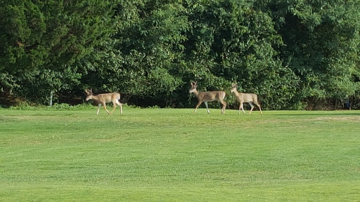 Golf Course «Lakewood Country Club», reviews and photos, 145 Country Club Dr, Lakewood, NJ 08701, USA