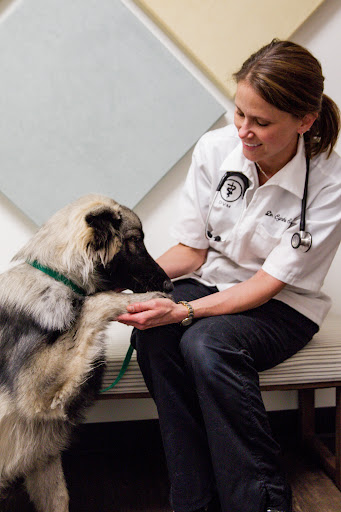 Camargo Animal Hospital image