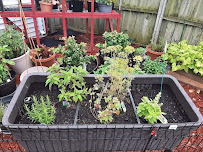 The Rebel Gothic - Photo 5 - Car repair in , South Bend